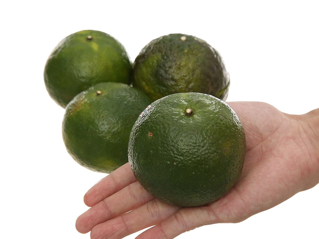 Cam sành 0.9-1.1kg (6 - 9 trái)